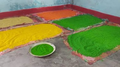 फूल और अन्य प्राकृतिक चीजों से पलाश समूह की महिलाएं बनाती हैं हर्बल गुलाल