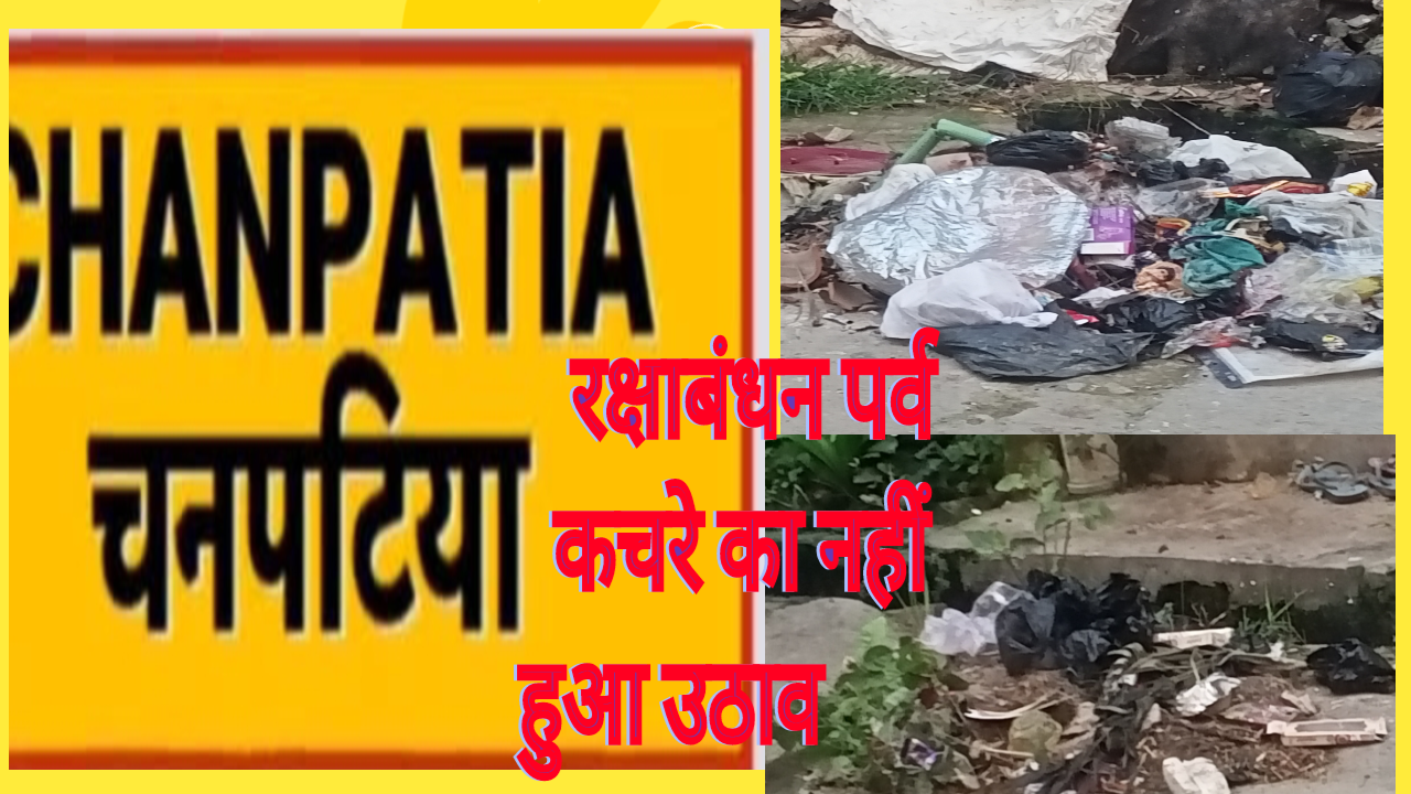 रक्षाबंधन पर्व पर नहीं हुआ कचरे का उठाव, जगह-जगह पर फैली गंदगी