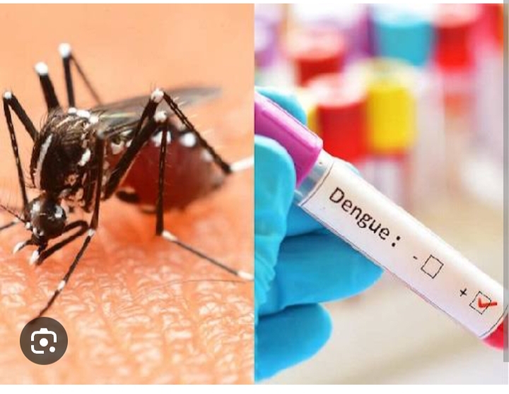 बिहार के सिवान जिले में डेंगू के मामले तेजी से फैल रहे,एक गांव में 42 मरीज मच्छर जनित बीमारी से संक्रमित