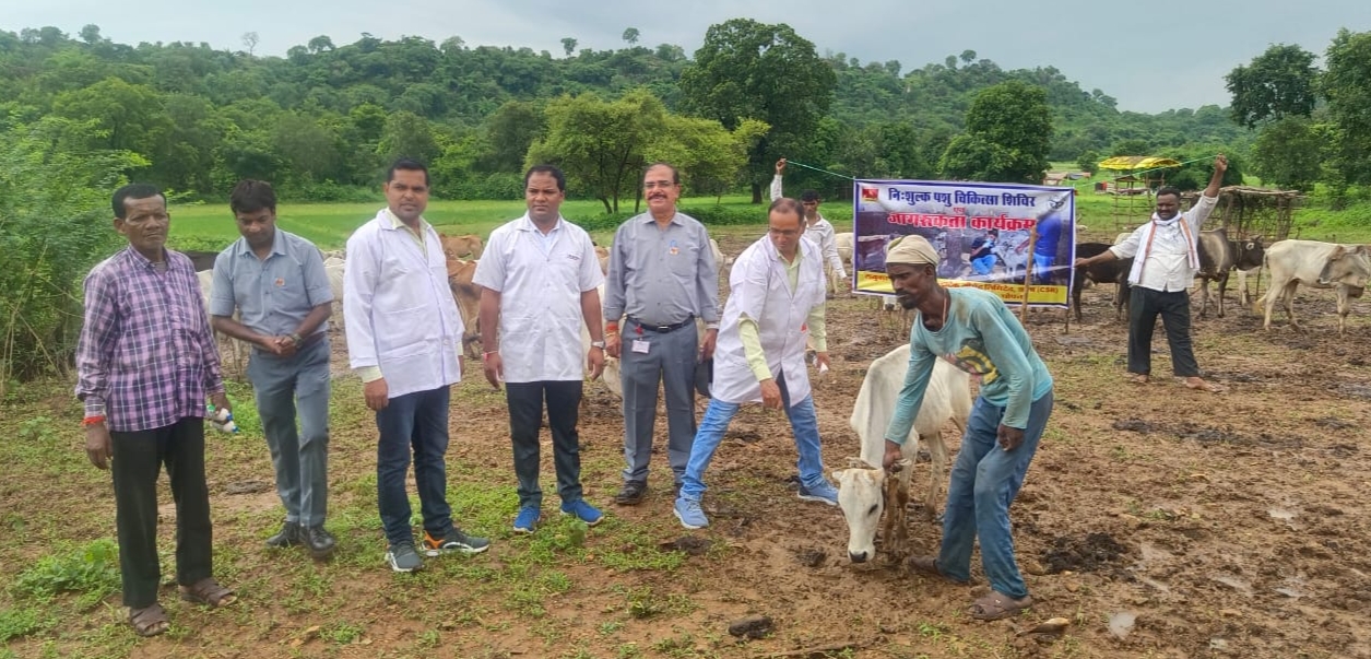 अल्ट्राटेक के द्वारा निःशुल्क पशु चिकित्सा शिविर का आयोजन 