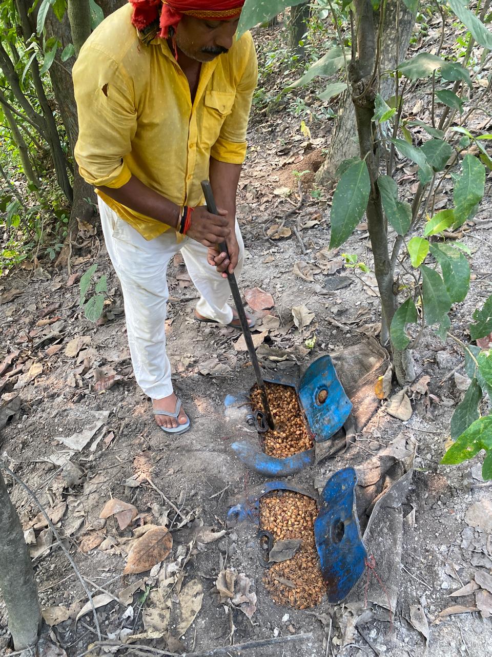 पेटरवार में उत्पाद विभाग ने अवैध देशी शराब निर्माण स्थल पर  छापेमारी कर जप्त करते हुए सामान किया नष्ट 