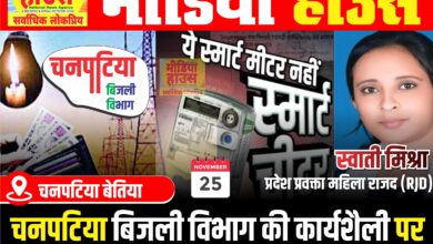 सरकार को बिजली विभाग से कोई सांठ गांठ , स्वाती मिश्रा