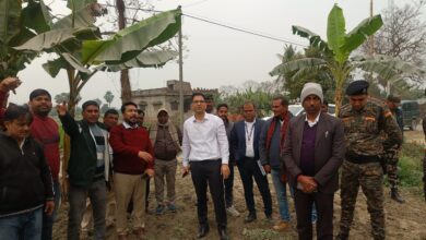 कलस्टर बागवानी की योजना – ll पपीता की खेती का डीएम ने किया निरिक्षण l
