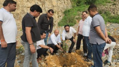 श्री महादेव इंटरप्राइजेज द्वारा खदान क्षेत्र में किया फलदार और छायादार पौधों का पौधरोपण
