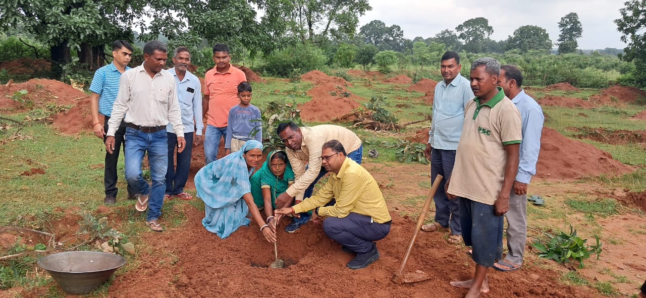 तीसकोपी में आम बागवानी का चौथा बर्थडे मनाया गया