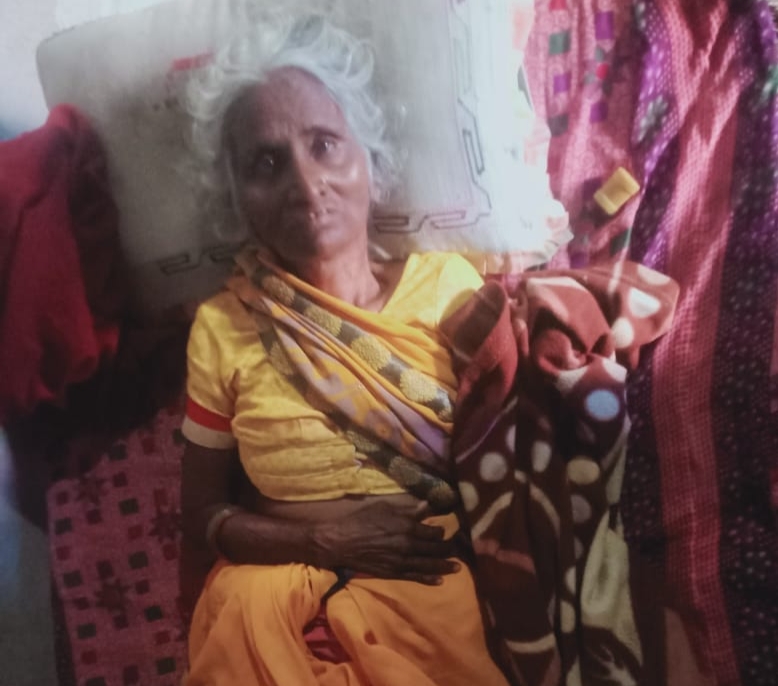 शौच करने गई वृद्ध महिला को हाथियों ने किया घायल 