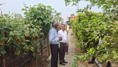 जल संकट से निपटने के लिए जल संचयन इकाई होगी वरदान साबित -जिलाधिकारी