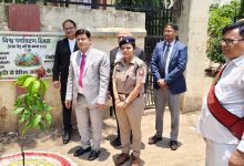 जनपद न्यायालय परिसर में वन विभाग के सहयोग से वृक्षारोपण किया गया।