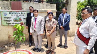 जनपद न्यायालय परिसर में वन विभाग के सहयोग से वृक्षारोपण किया गया।