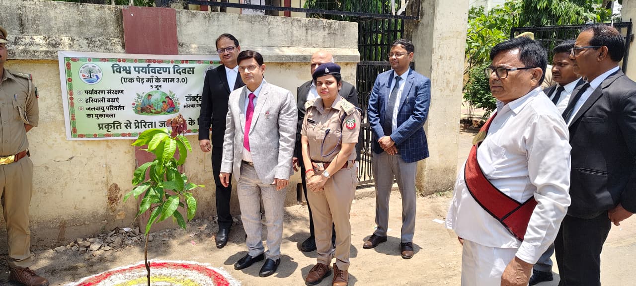 जनपद न्यायालय परिसर में वन विभाग के सहयोग से वृक्षारोपण किया गया।