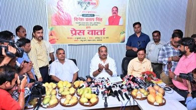 यूपी से आम निर्यात में रिकॉर्ड उछाल ₹12.67 करोड़ के 3563 मीट्रिक टन आम का हुआ