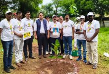 पेड़ से ही प्राण है अभियान के तहत कलेक्ट्रेट परिसर में जिलाधिकारी ने किया पौधरोपण