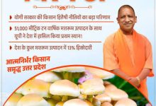 मशरूम उत्पादन में 51 हजार मीट्रिक टन उत्पादन के साथ यूपी बना नंबर-1