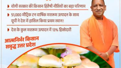 मशरूम उत्पादन में 51 हजार मीट्रिक टन उत्पादन के साथ यूपी बना नंबर-1
